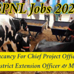 BPNL Jobs 2025: Chief Project Officer, District Extension Officer & More- Full Details